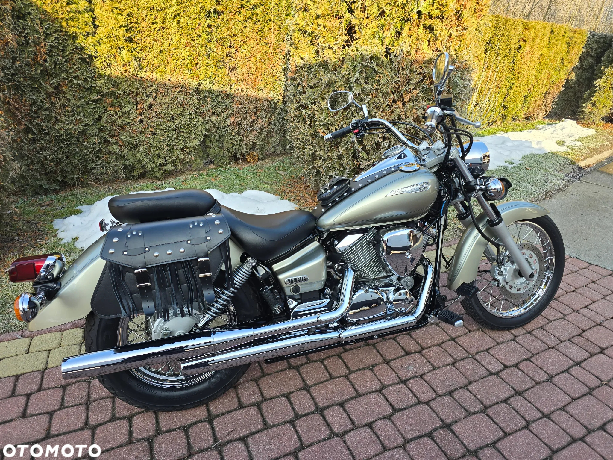 Yamaha XVS - 10