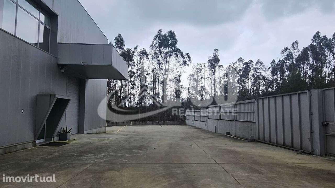ARMAZEM  INDUSTRIAL PARA ARRENDAMENTO STA MARIA DA FEIRA - Grande imagem: 5/30