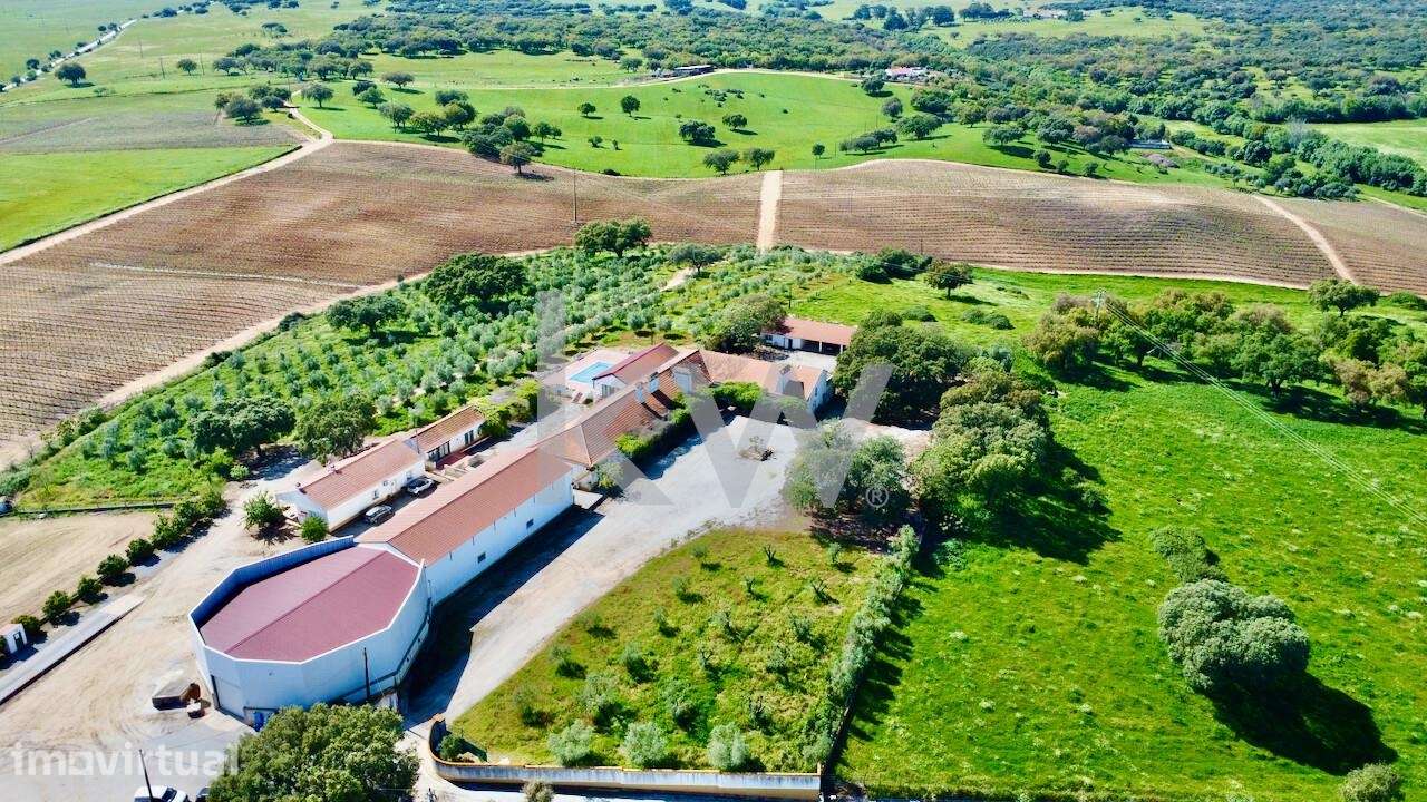 Herdade no coração do Alentejo de 307 hectares, com produção vinícola, - Grande imagem: 5/39