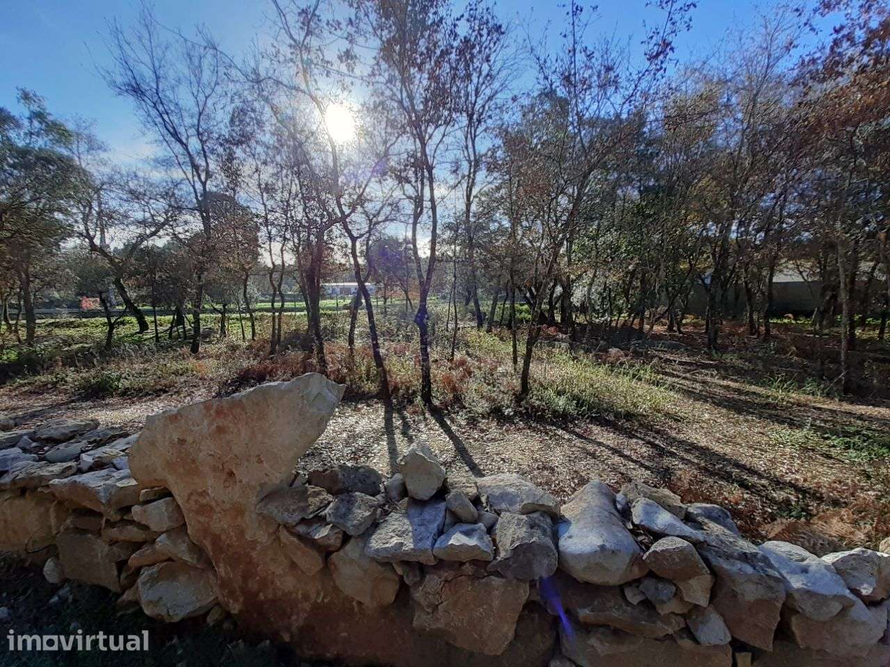 Terreno para construção - Grande imagem: 2/7