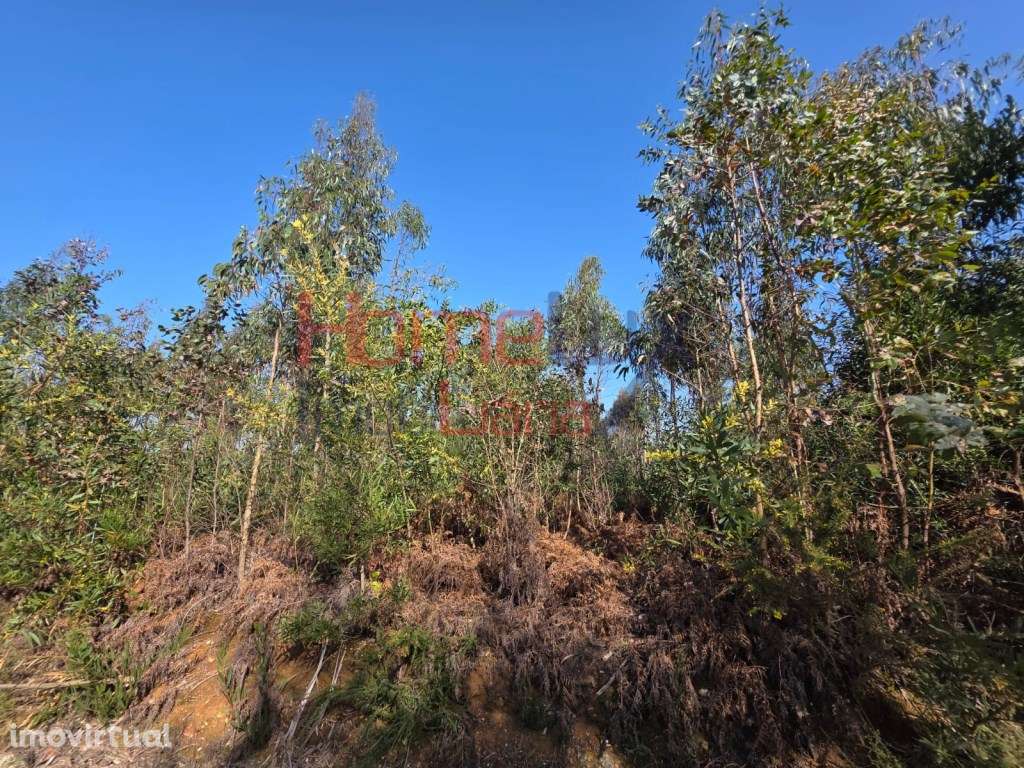 Terreno na zona industrial de Albergaria-a-Velha - Grande imagem: 5/16