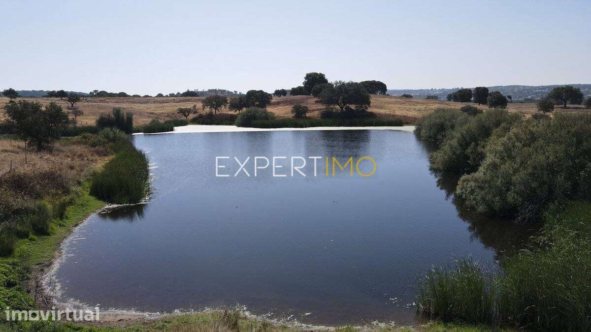 Herdade com 81,79 ha - Mora - Grande imagem: 4/11