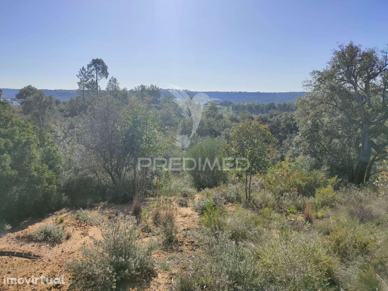 Terreno Rústico - Monsanto, Alcanena - Grande imagem: 2/9