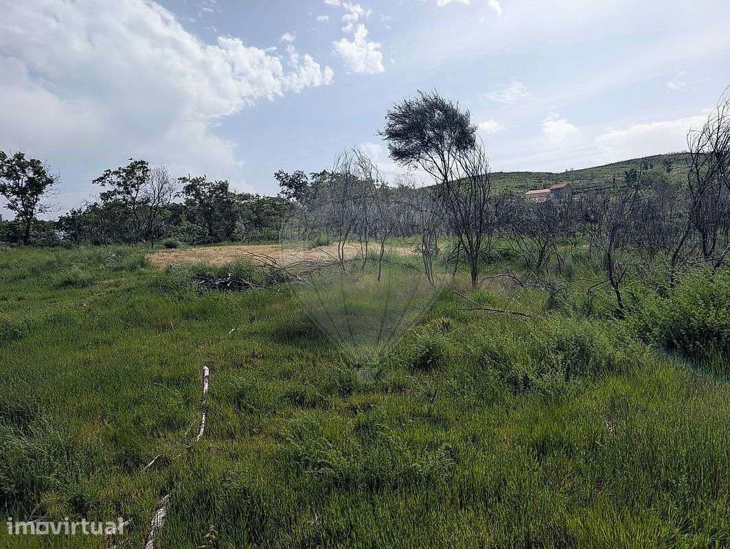Terreno  para venda