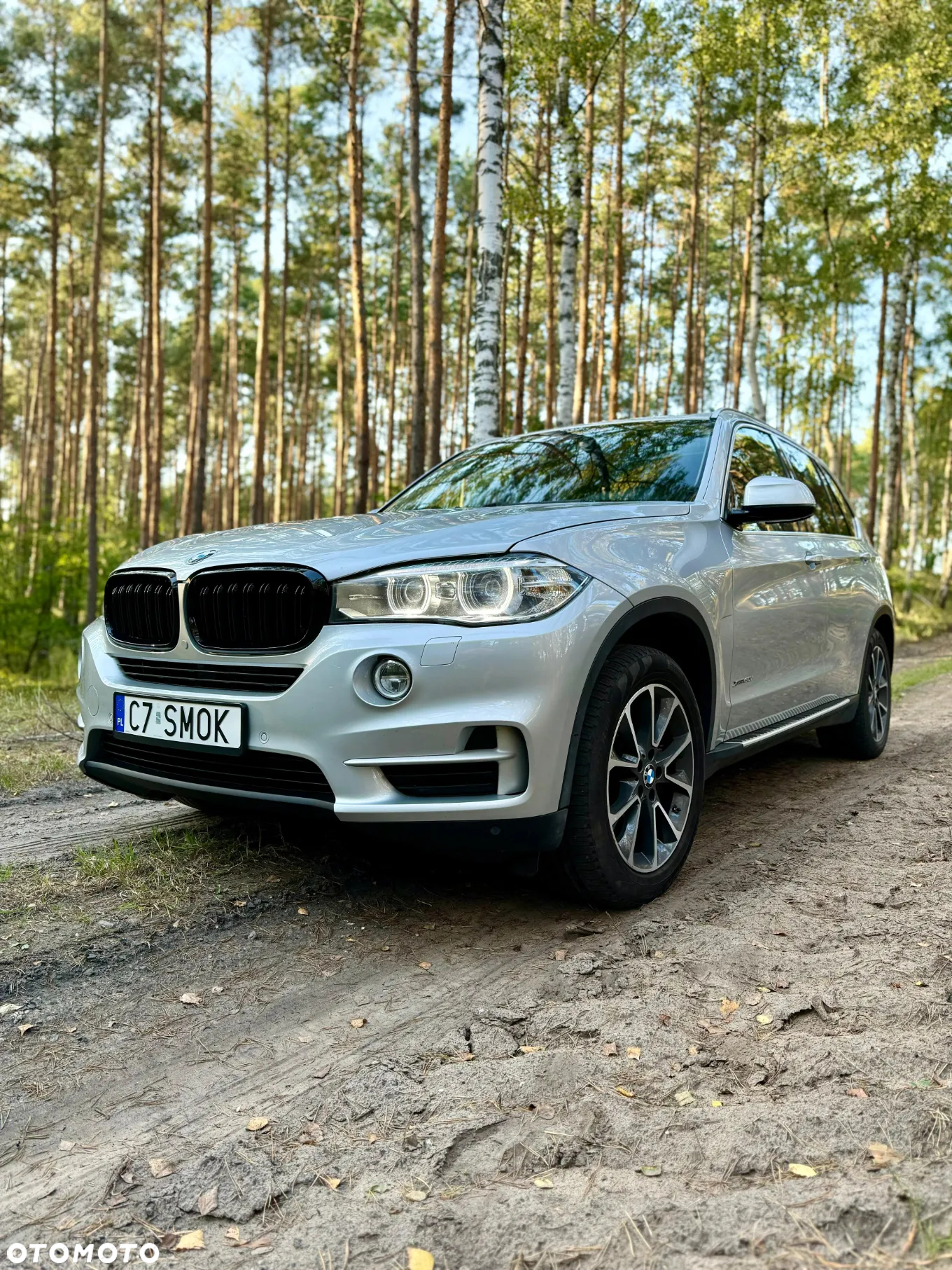 BMW X5 xDrive50i - 33