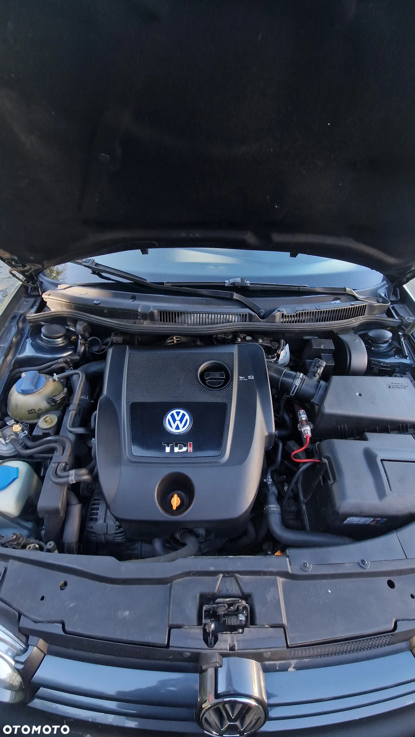 Volkswagen Golf - 8
