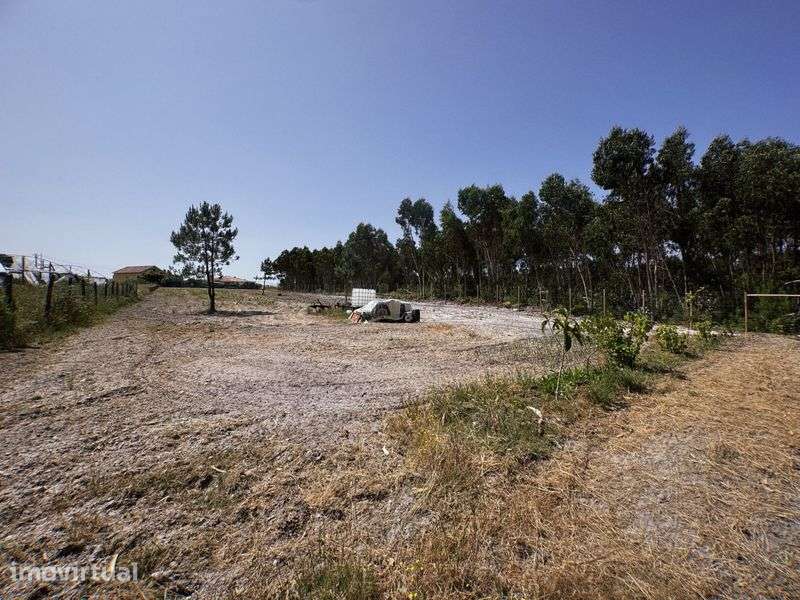 TERRENO para construção com PROJETO APROVADO - A 5min de SANTA CRUZ - Grande imagem: 2/12