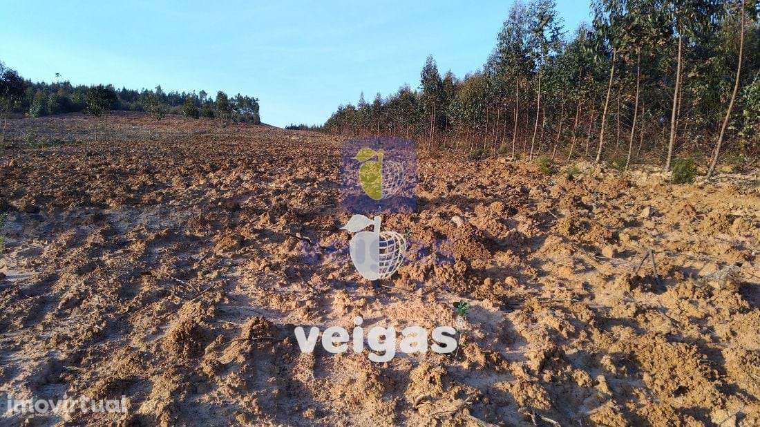 Terreno na zona Industrial das Gaeiras! - Grande imagem: 3/8