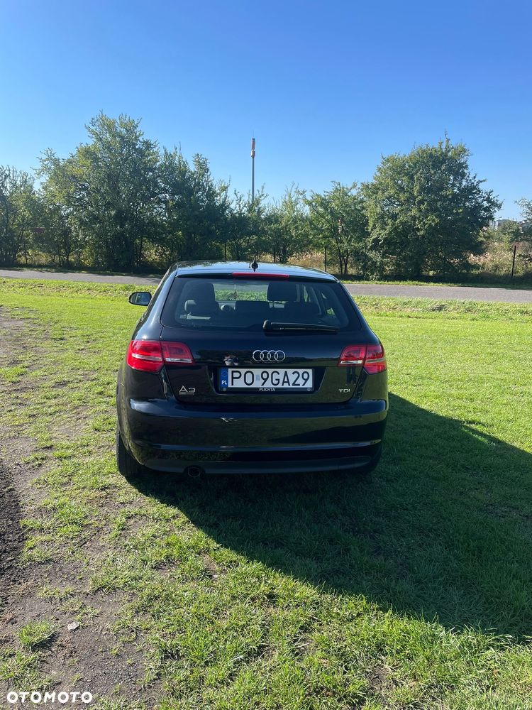Audi A3 1.6 TDI DPF Ambiente - 21