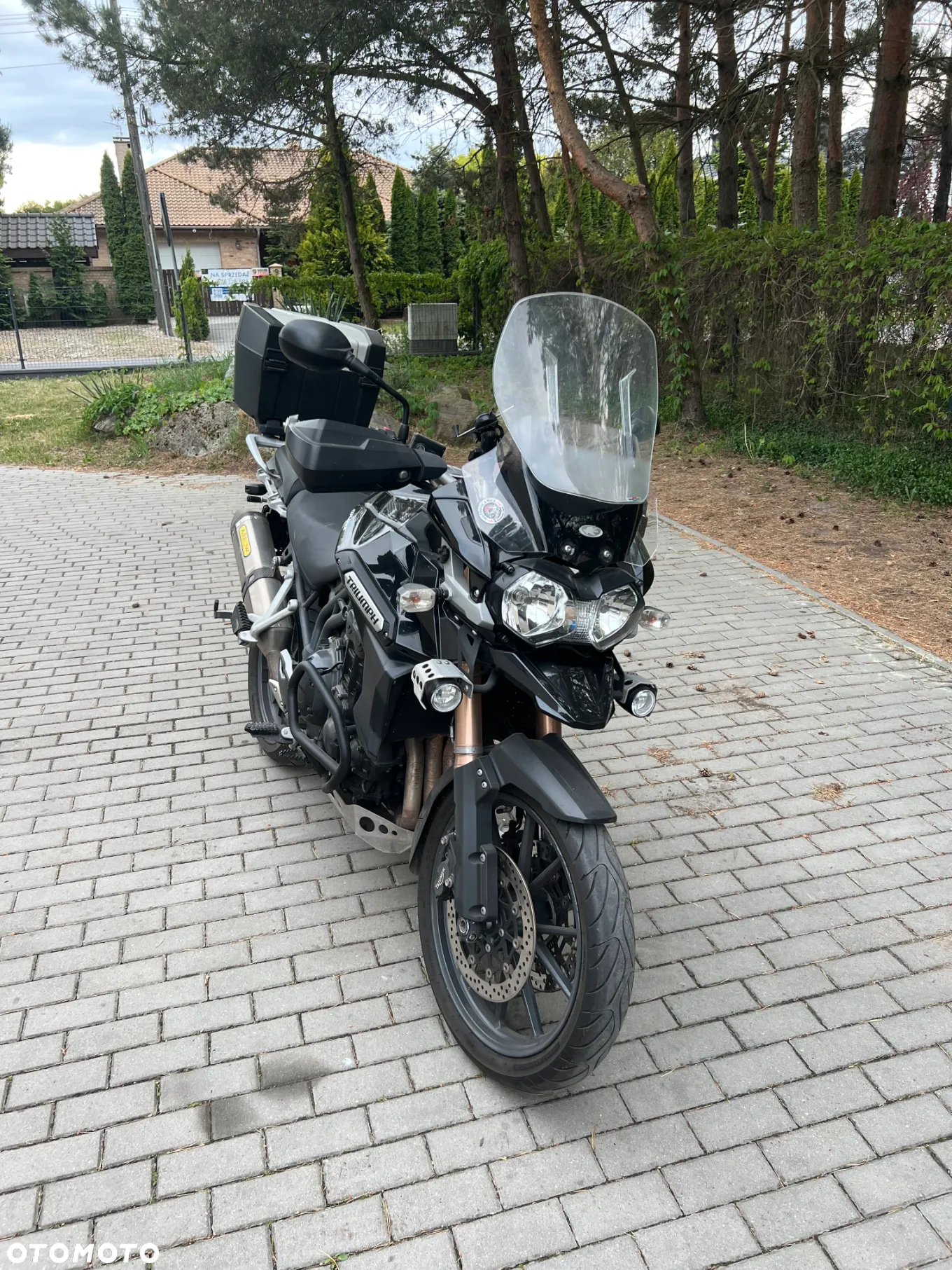 Triumph Tiger