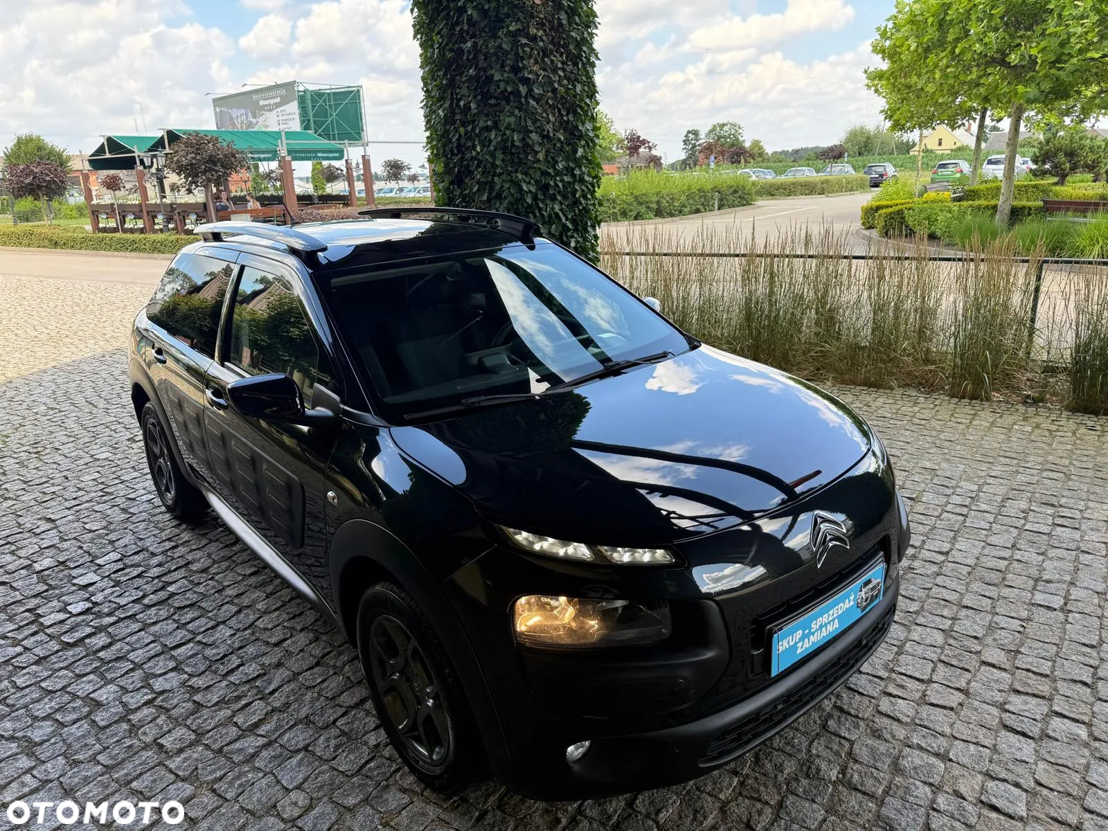 Citroën C4 Cactus 1.2 PureTech Feel - 2