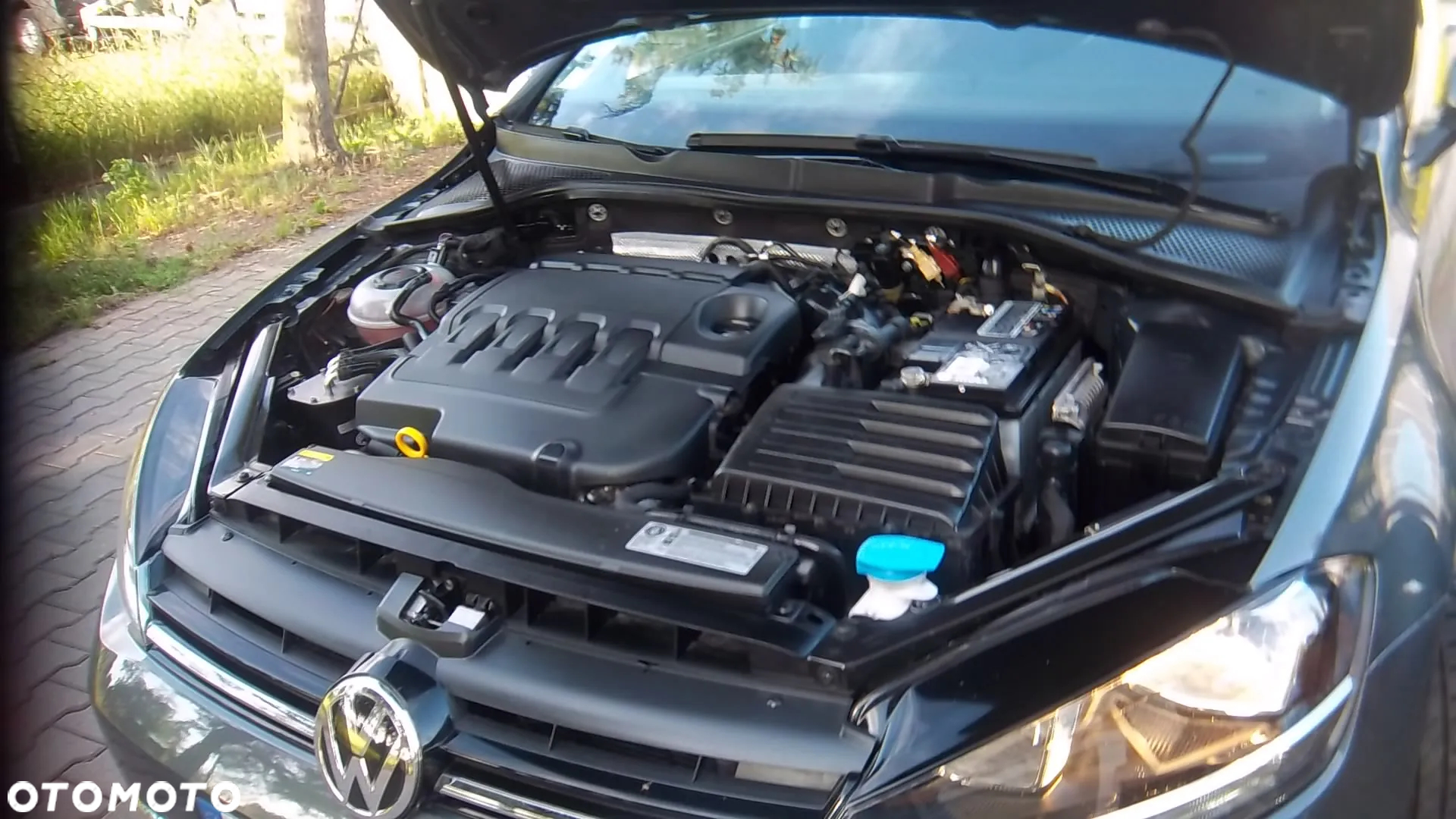 Volkswagen Golf VII 1.6 TDI BMT Comfortline - 7