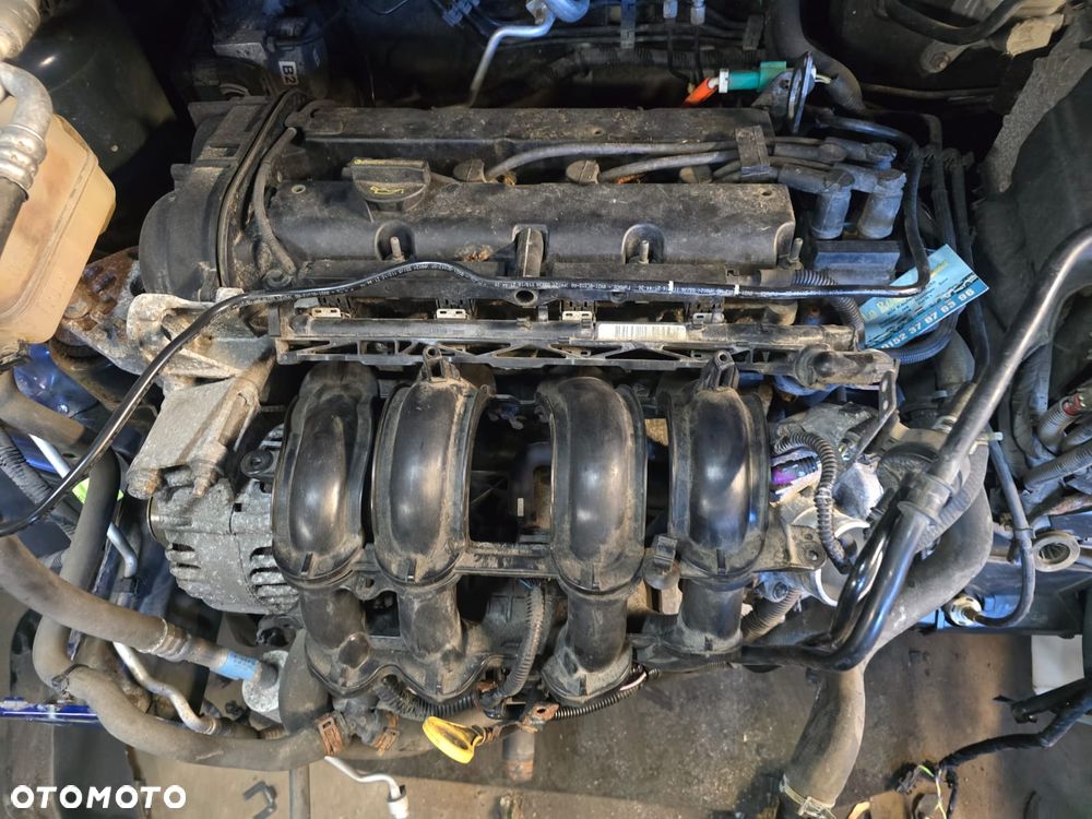 Silnik ford  1.25 o kodzie SNJC 81ps - 1