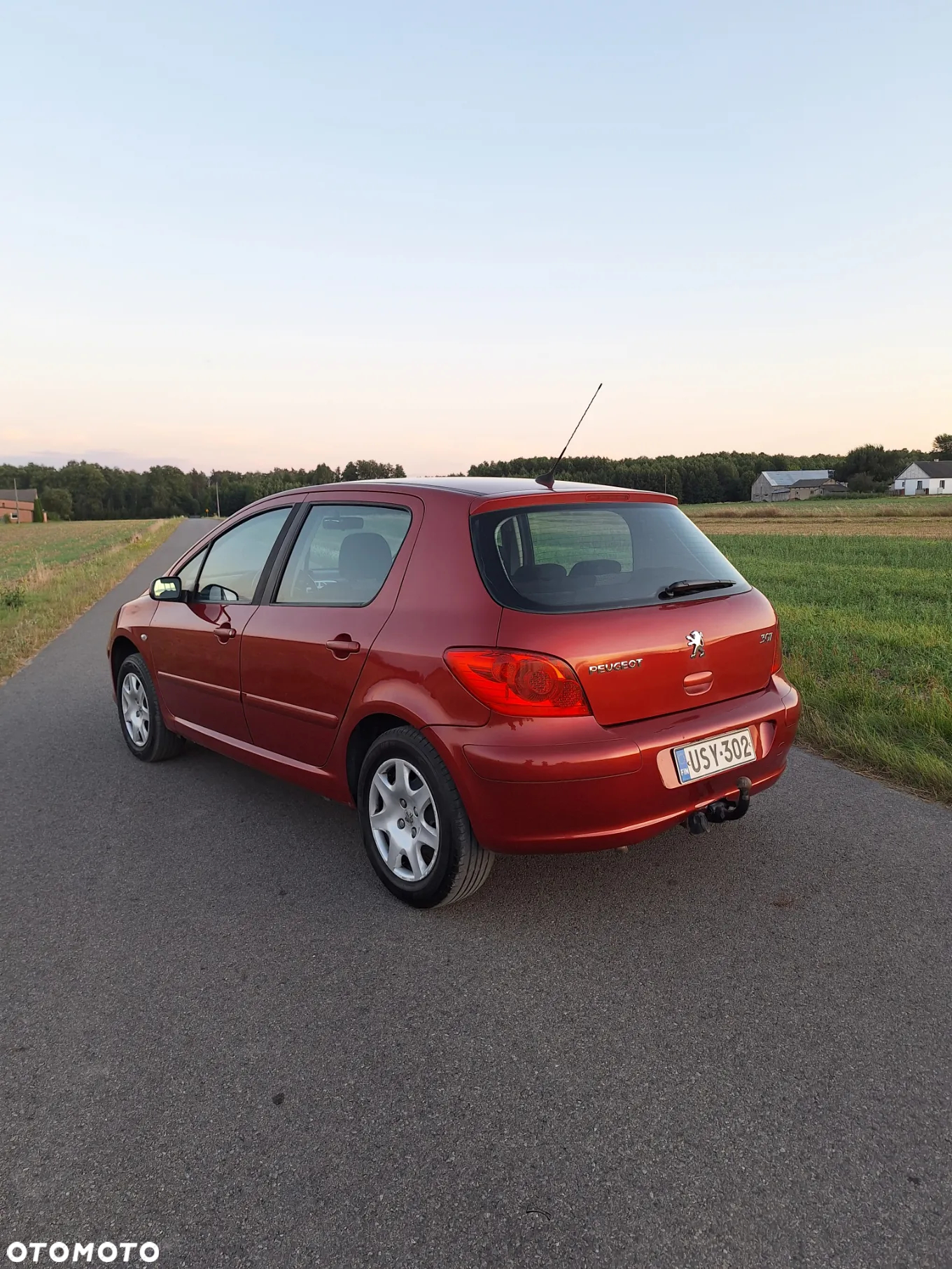 Peugeot 307 110 Premium - 4