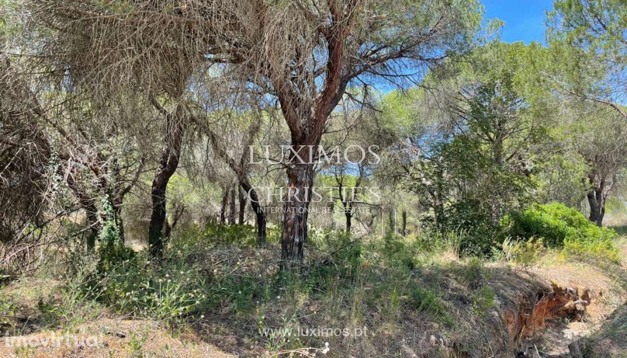 Terreno rústico para venda na Quinta do Lago, Algarve - Grande imagem: 4/10