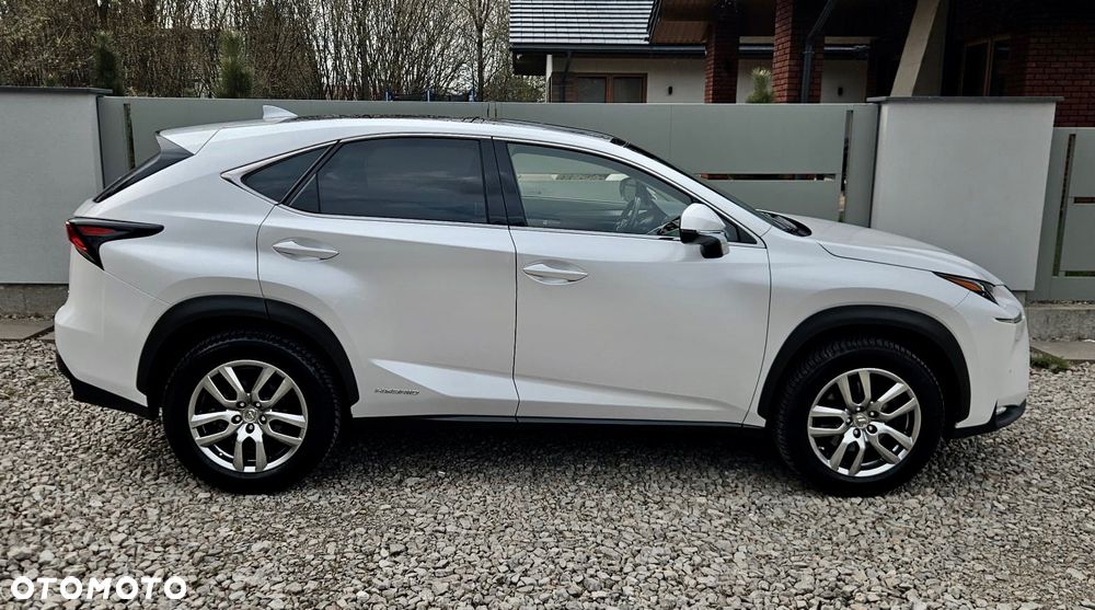 Lexus NX 300h Business Line - 7