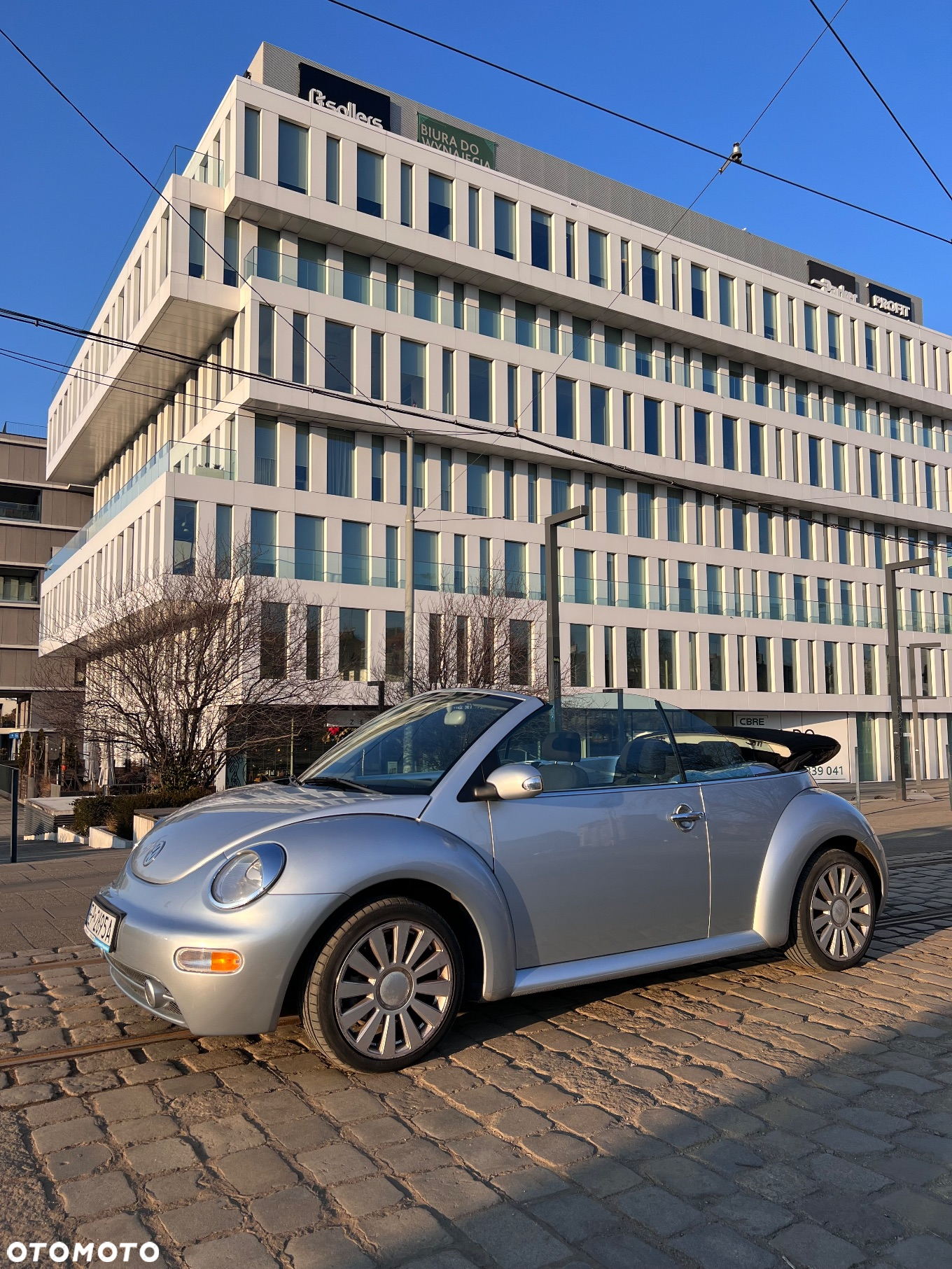 Volkswagen New Beetle Cabriolet 1.6 - 7