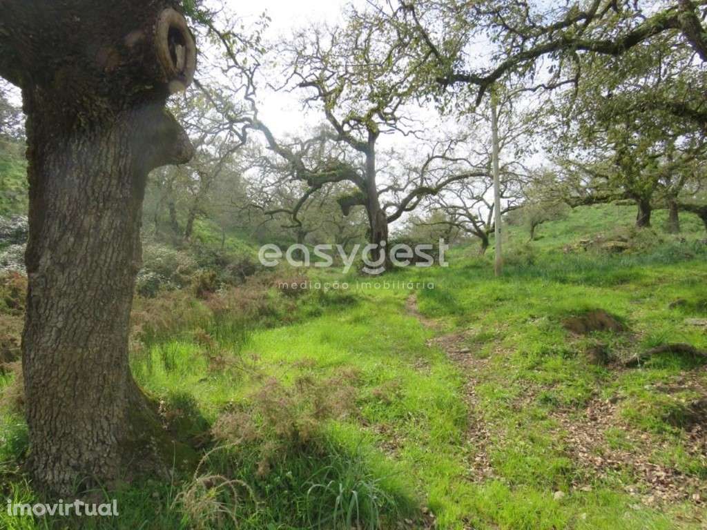 Herdade com 1.447.916 m2 localizada em São Luís, concelho de Odemira - Grande imagem: 2/48