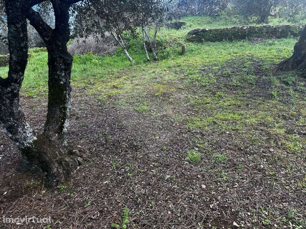 Terreno  para venda - Grande imagem: 3/15