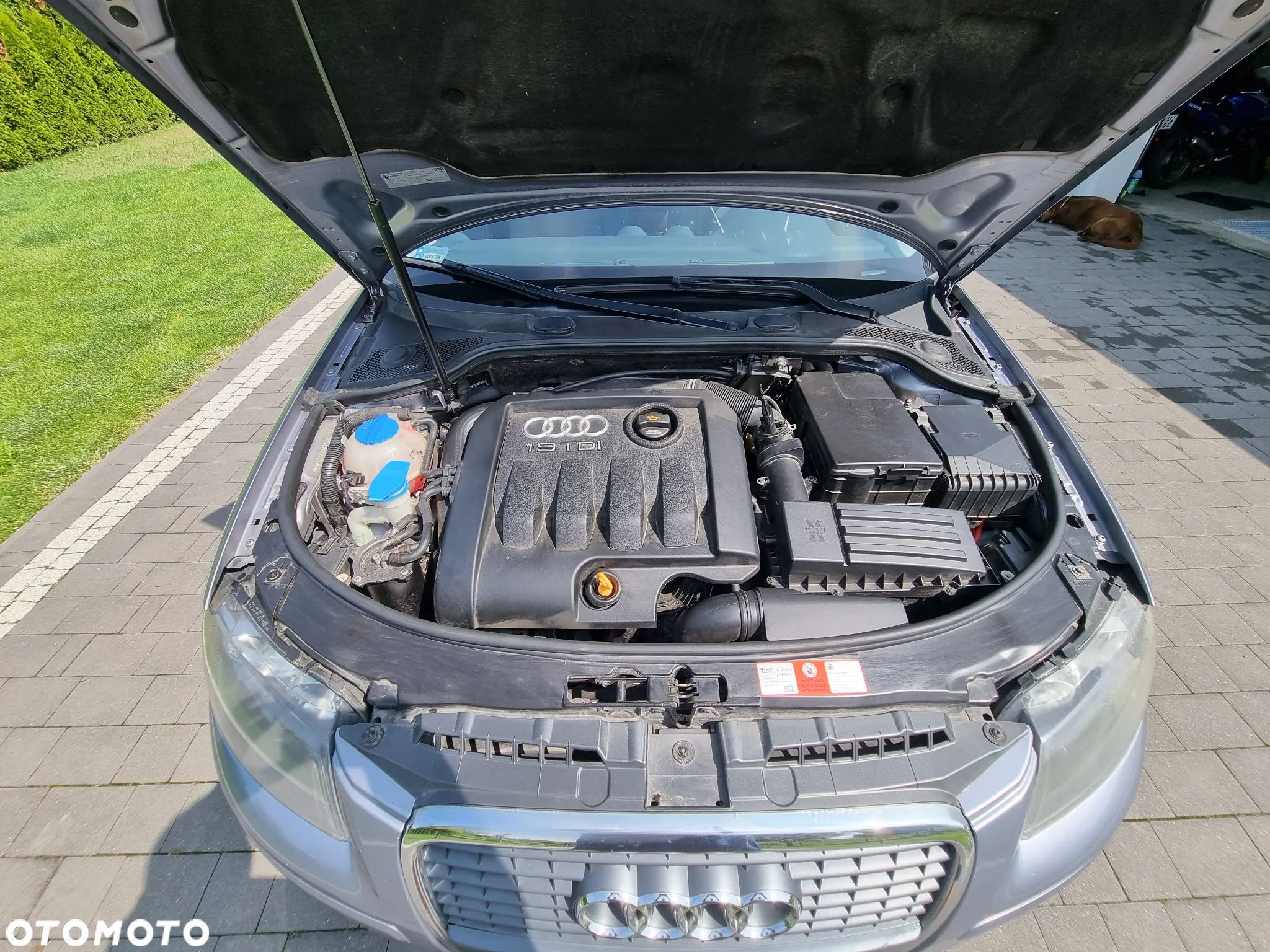 Audi A3 1.9 TDI Sportback Ambiente - 11