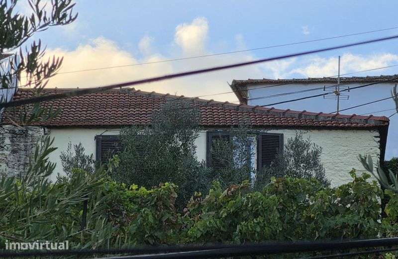 Casa para restauro no douro - Grande imagem: 3/5