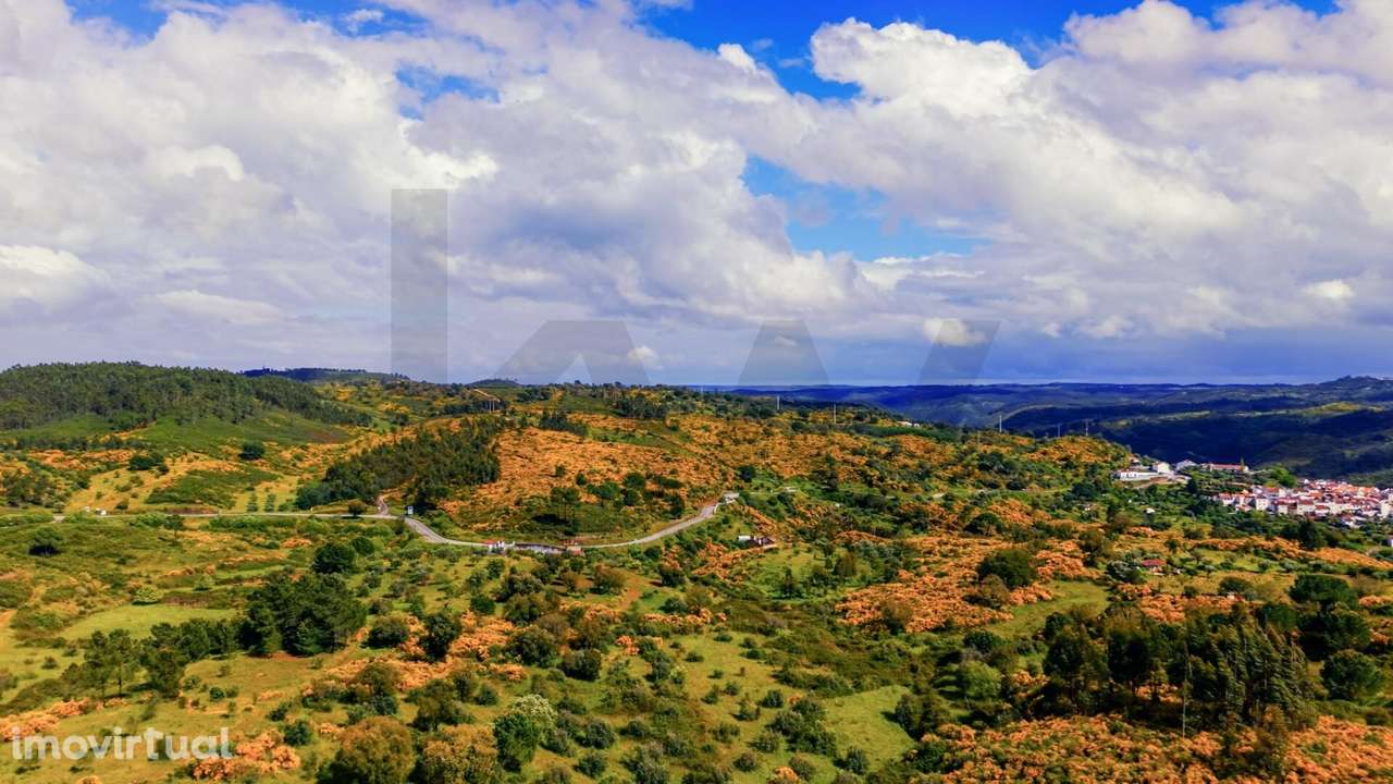 Terreno Rústico com 112.025 m2 em Belver – Potencial Agrícola, Florest - Grande imagem: 4/20