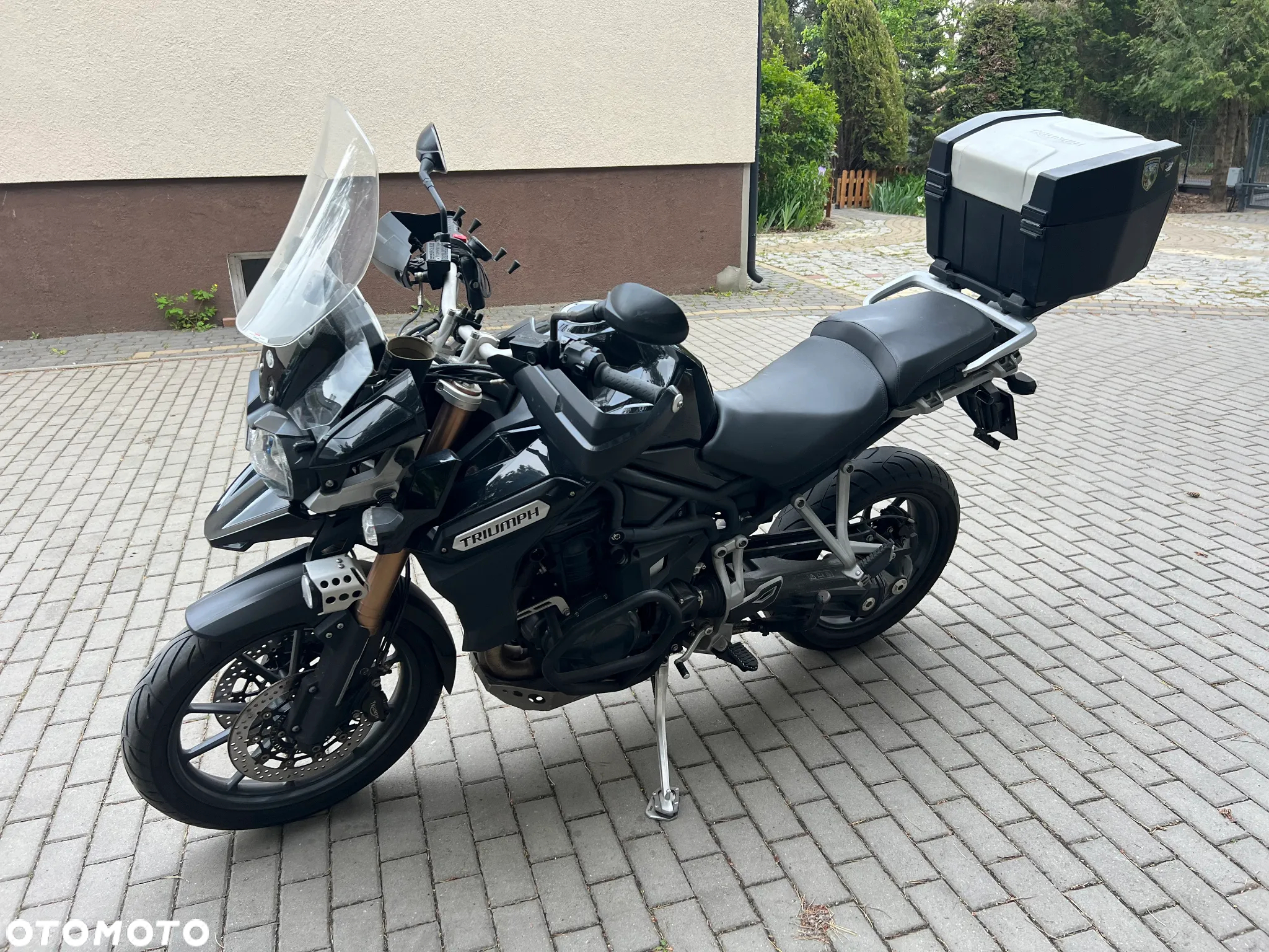 Triumph Tiger