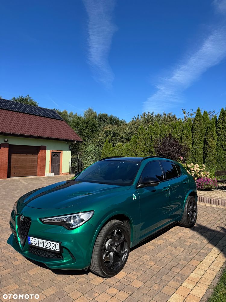 Alfa Romeo Stelvio 2.9 Bi Turbo V6 Quadrifoglio Q4 - 3