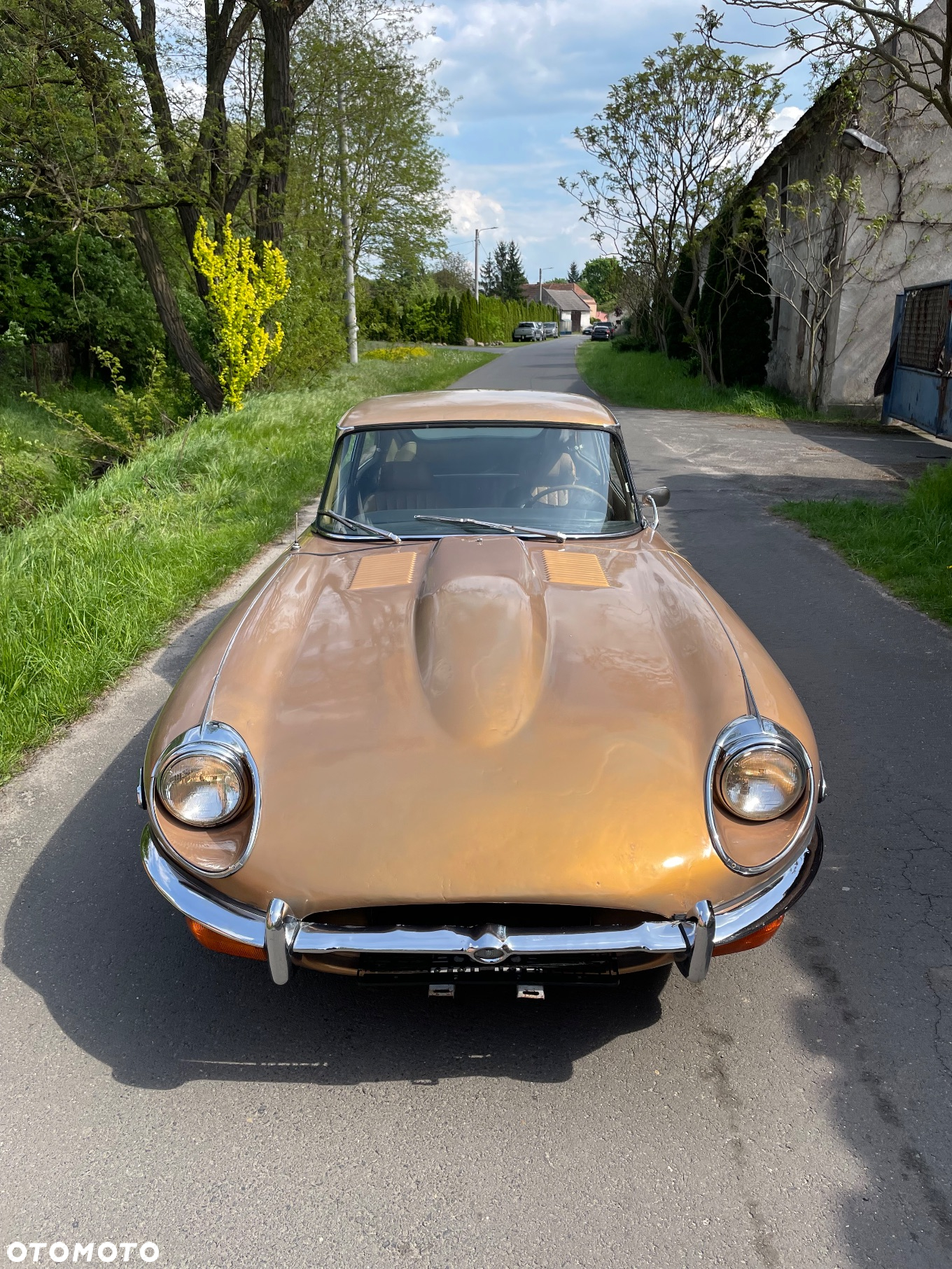 Jaguar E-Type - 3