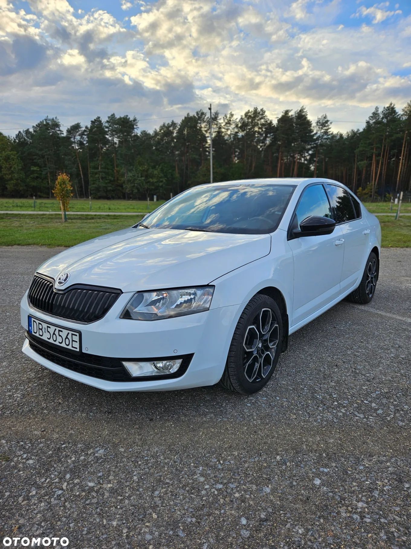 Skoda Octavia 1.4 TSI Active - 1