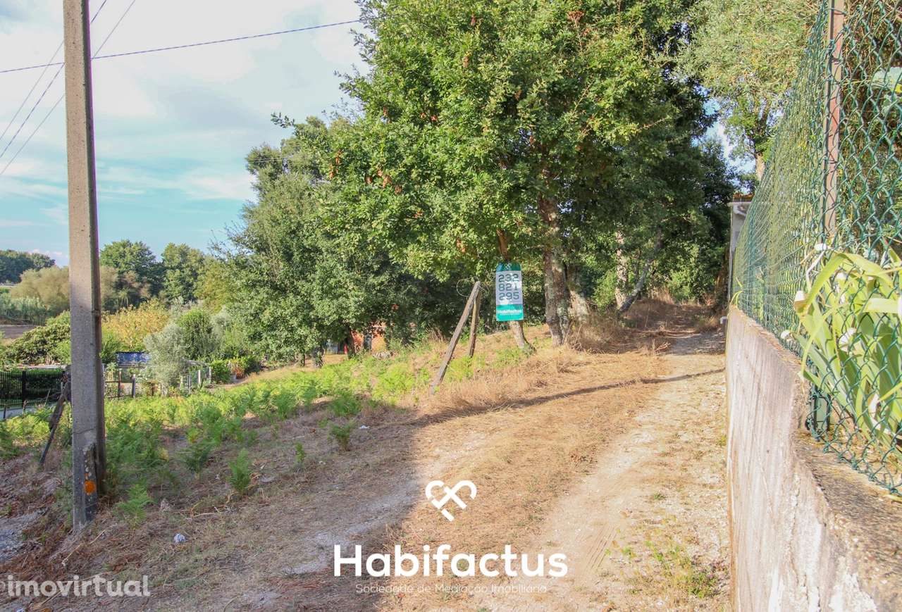 Terreno para Construção em Sabugosa – 1470m² - Grande imagem: 2/13
