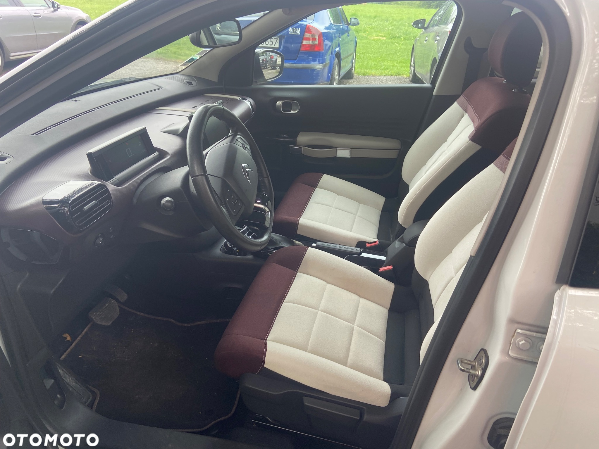 Citroën C4 Cactus 1.2 PureTech GPF Shine S&S EAT6 - 9