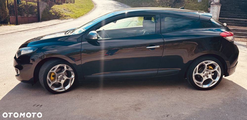 Renault Megane 2.0 16V TCE GT Robert Kubica - 30