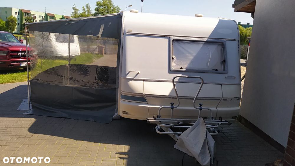 Wilk sport - 15