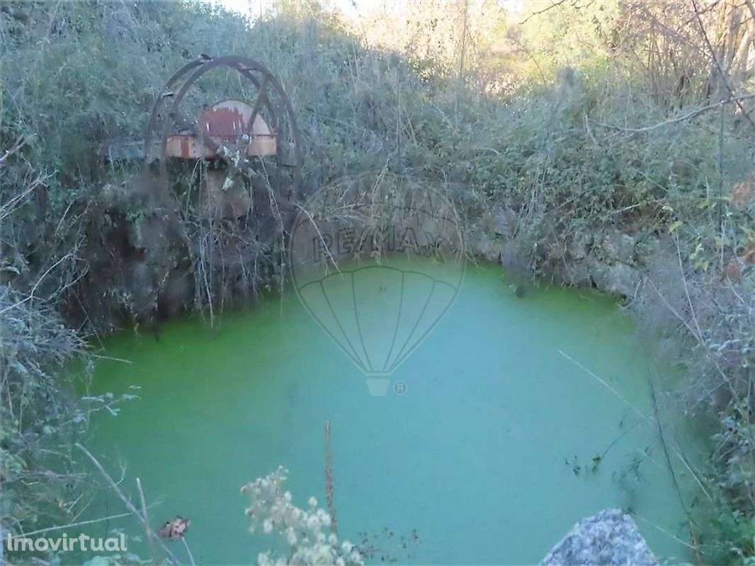 Quinta  para venda - Grande imagem: 5/32