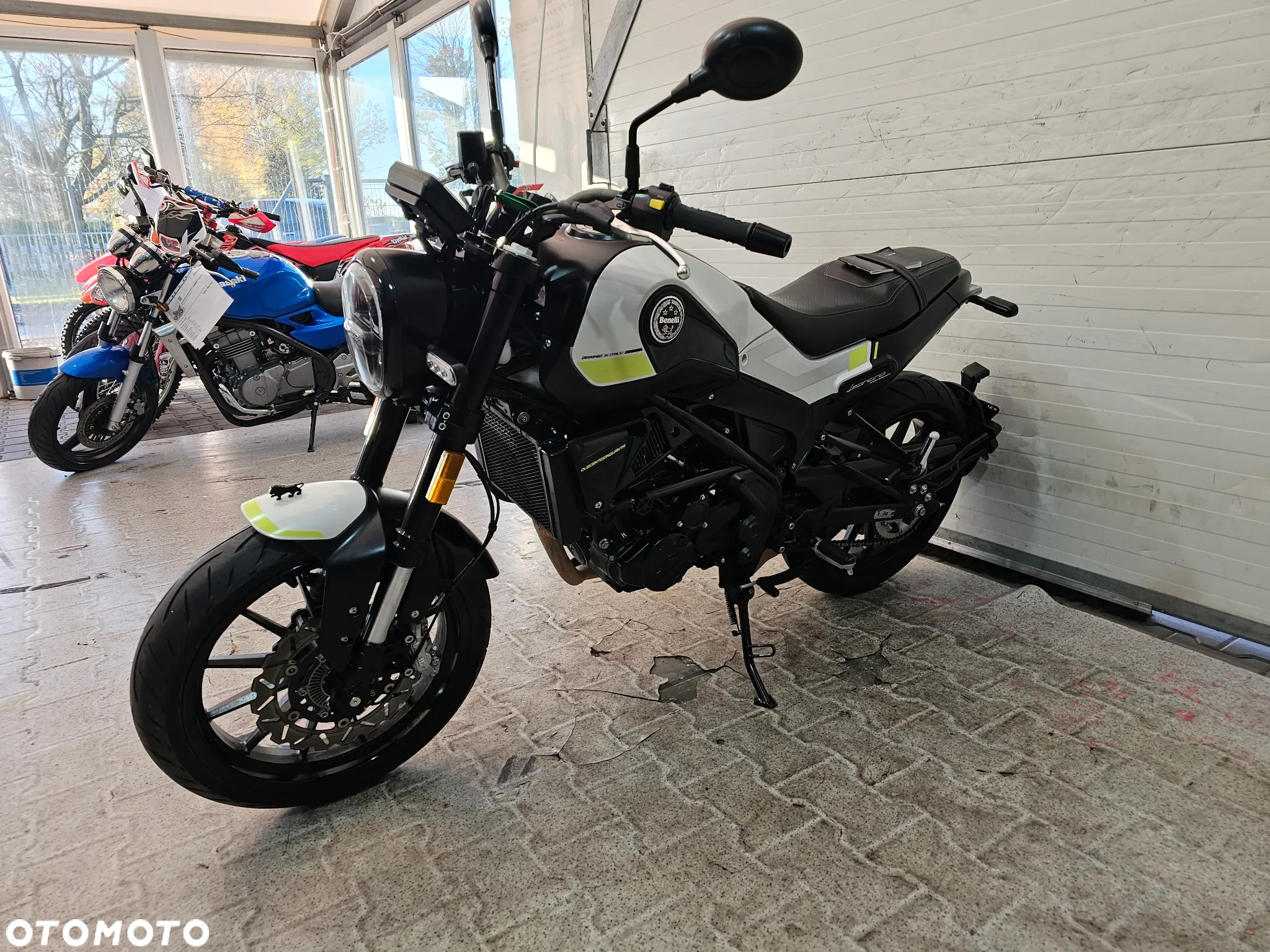Benelli Leoncino - 8