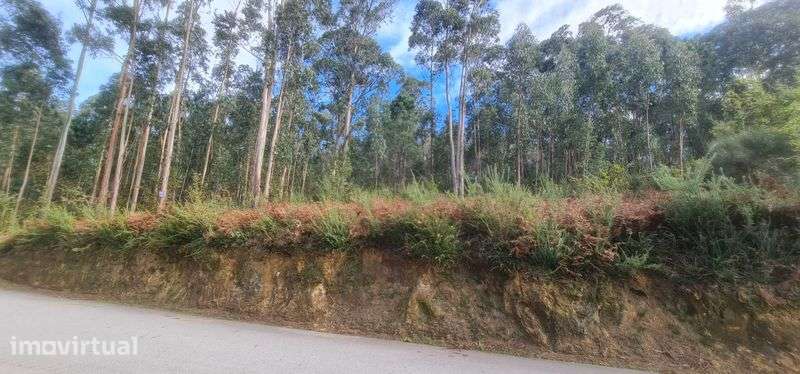 Terreno de 2300m² para venda no lugar de Salgueiral, Lobão - Grande imagem: 2/3