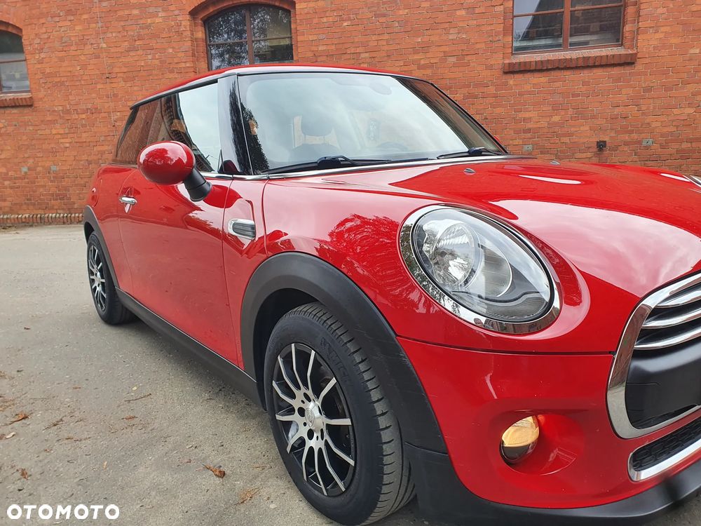 MINI ONE Blackyard - 3