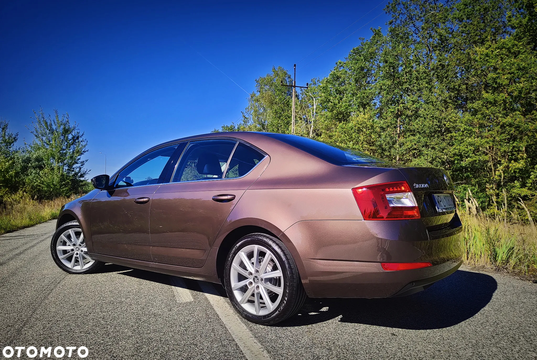 Skoda Octavia 1.4 TSI Elegance - 14