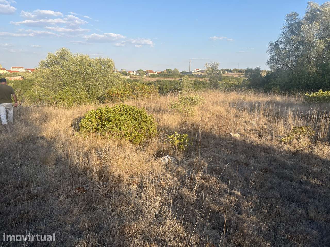 TERRENO RÚSTICO COM 1.800 m² – PENA DA AMOREIRA | VILA NOVA DE SÃO PE - Grande imagem: 2/9