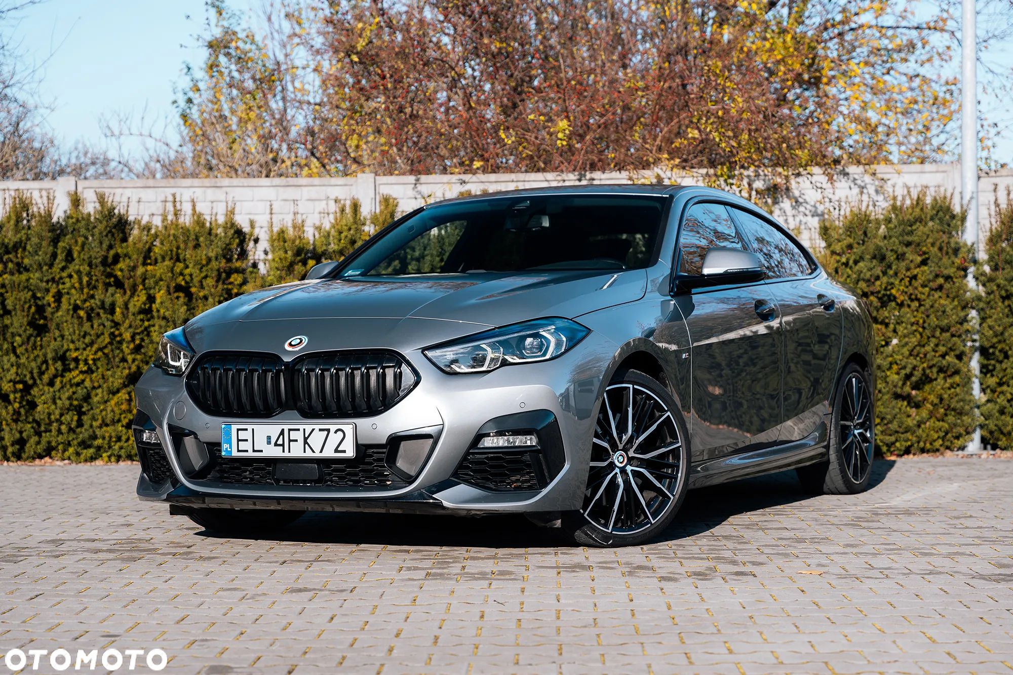 BMW Seria 2 - 1