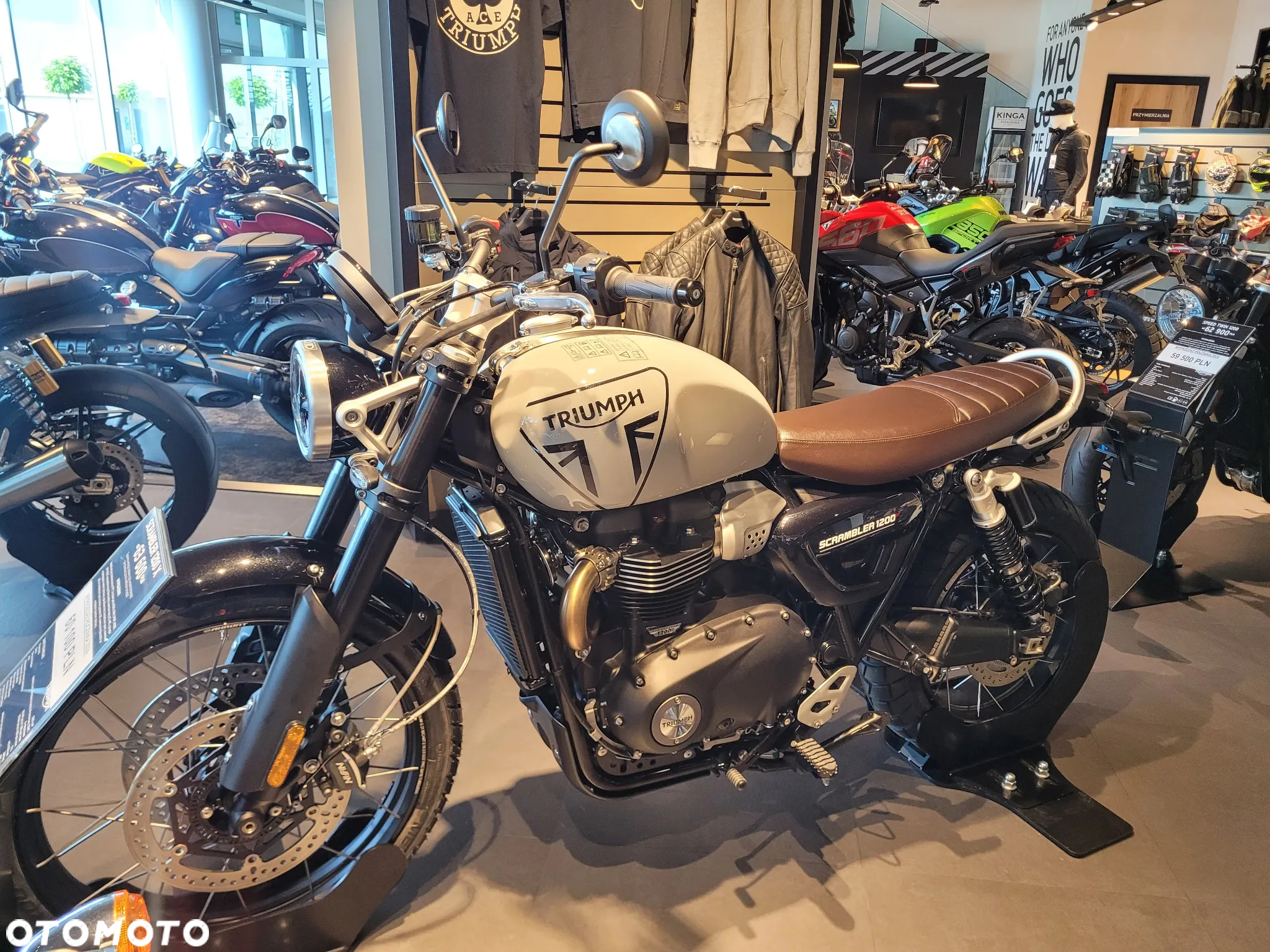Triumph Scrambler