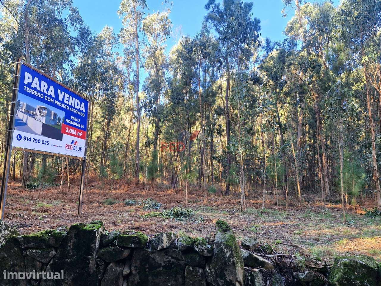 TERRENO PARA CONSTRUÇÃO, NEGREIROS, BARCELOS - Grande imagem: 2/12