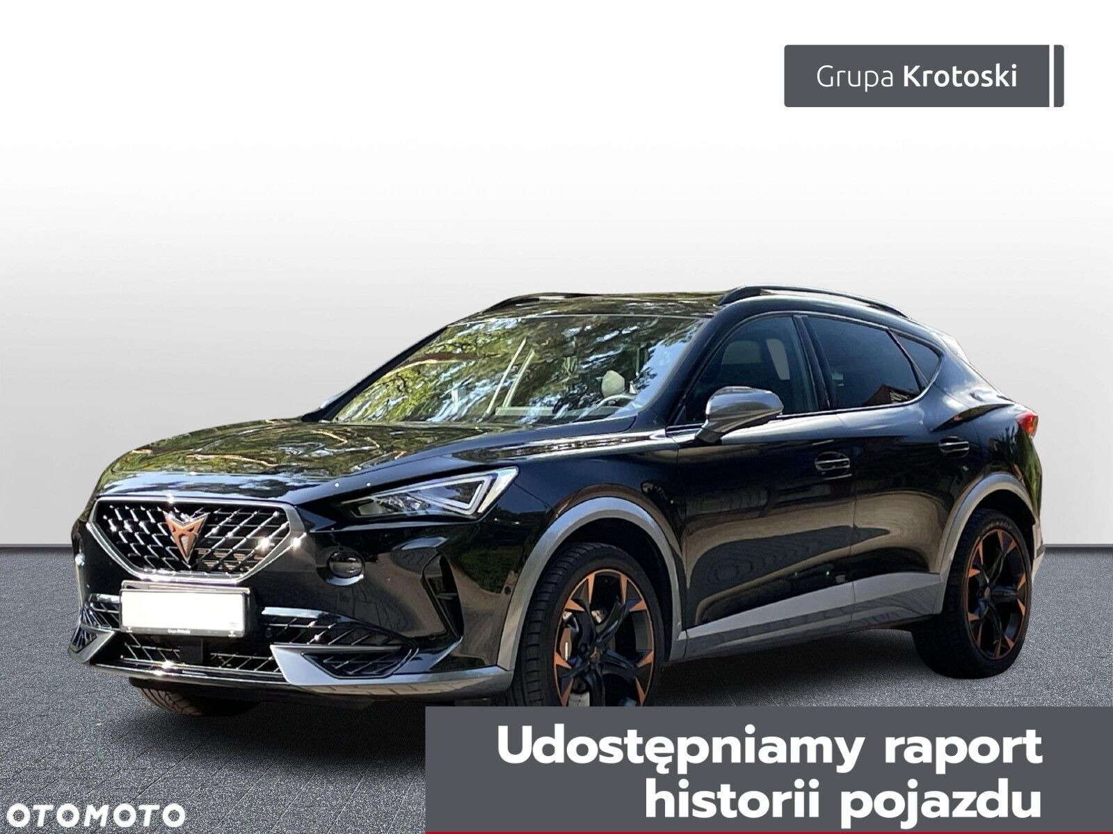 Cupra Formentor 2.0 TSI 4Drive VZ DSG - 1