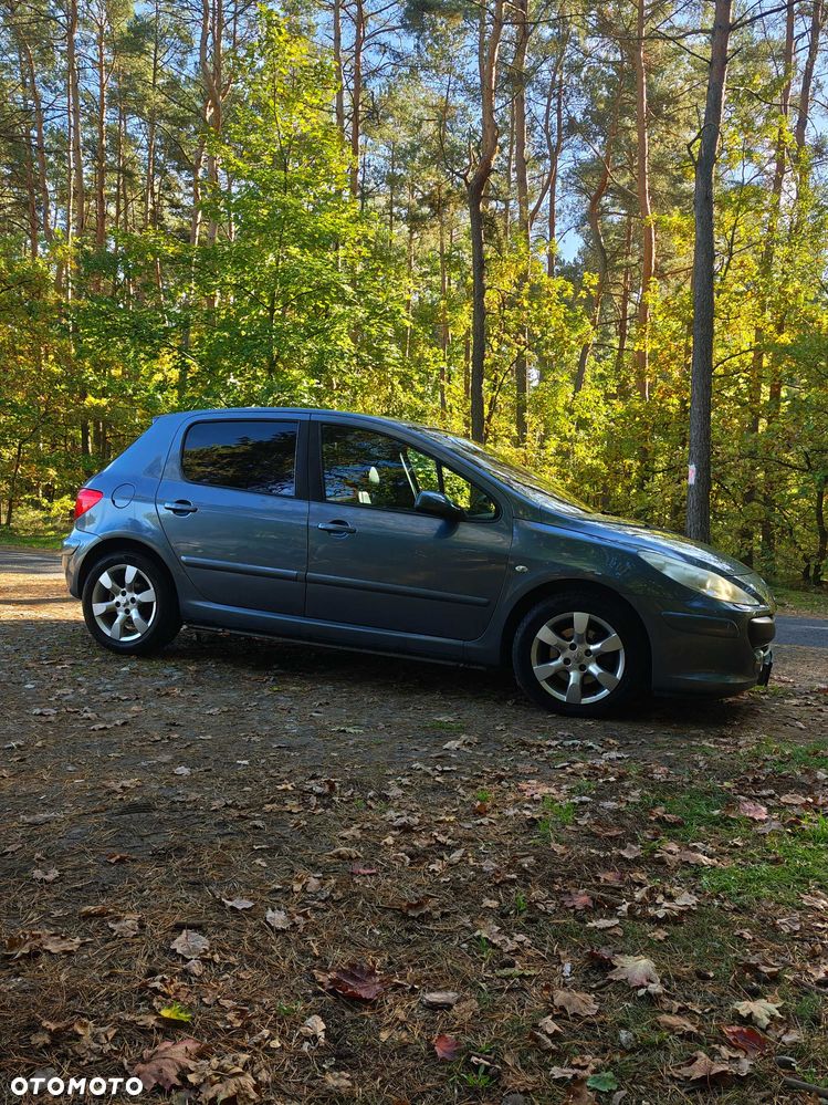 Peugeot 307