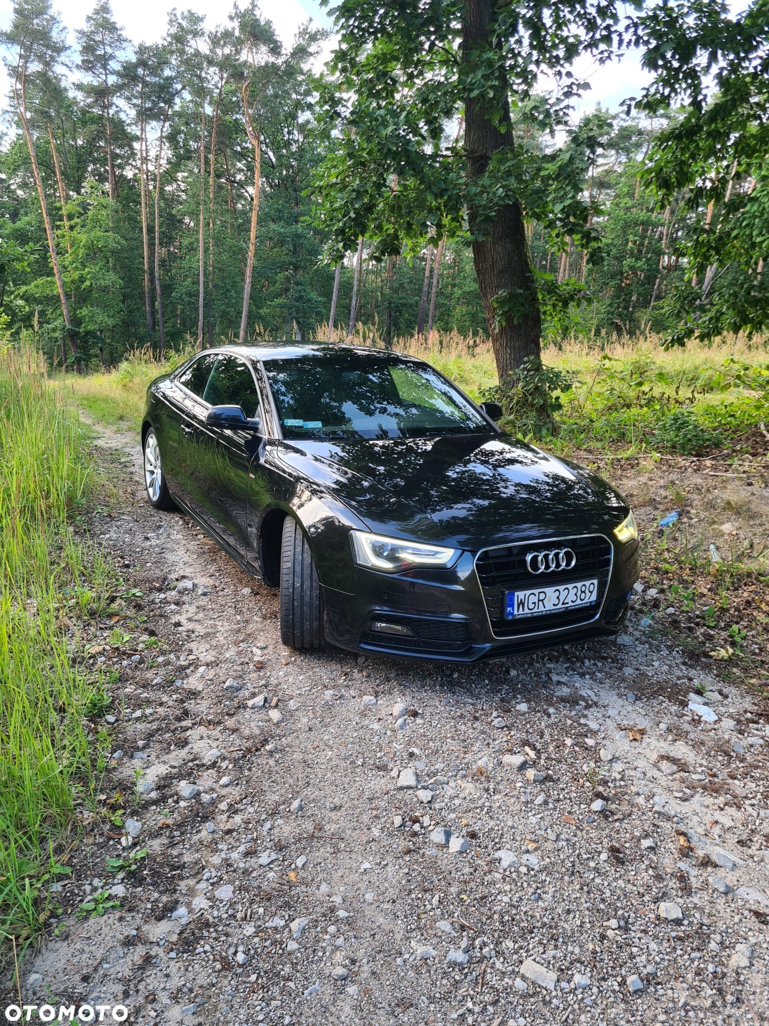 Audi A5 2.0 TDI - 15