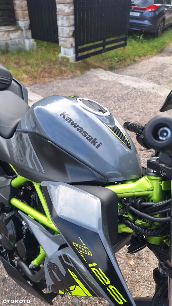Kawasaki Z - 10