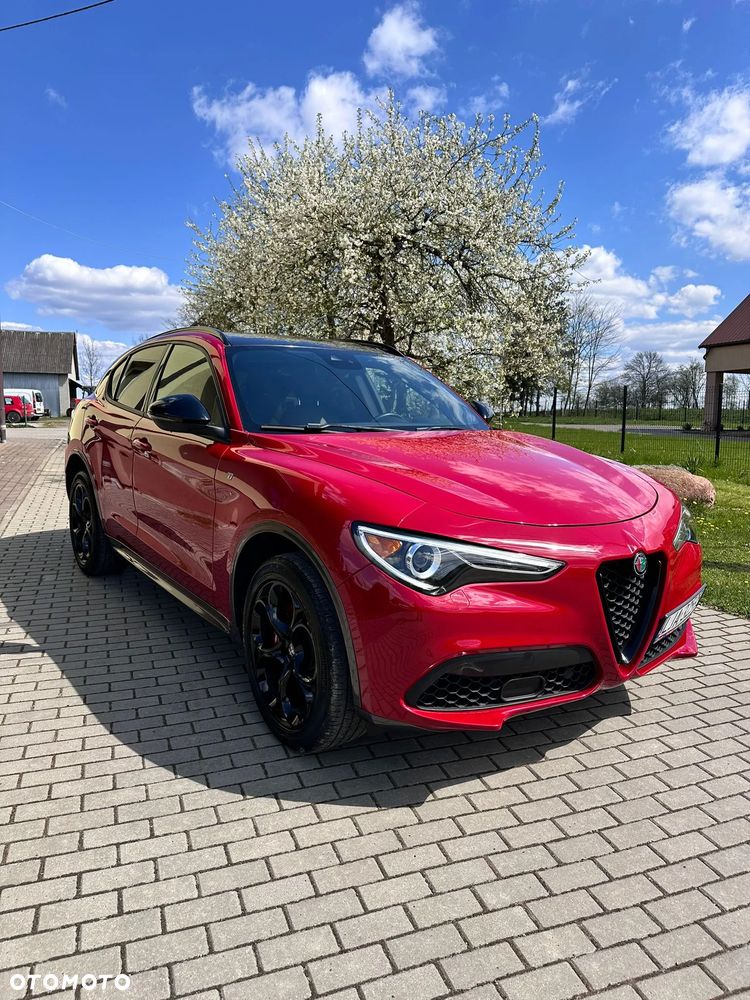 Alfa Romeo Stelvio 2.0 Turbo Veloce TI Q4 - 5