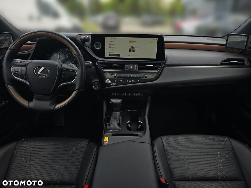 Lexus ES 300h Omotenashi - 12