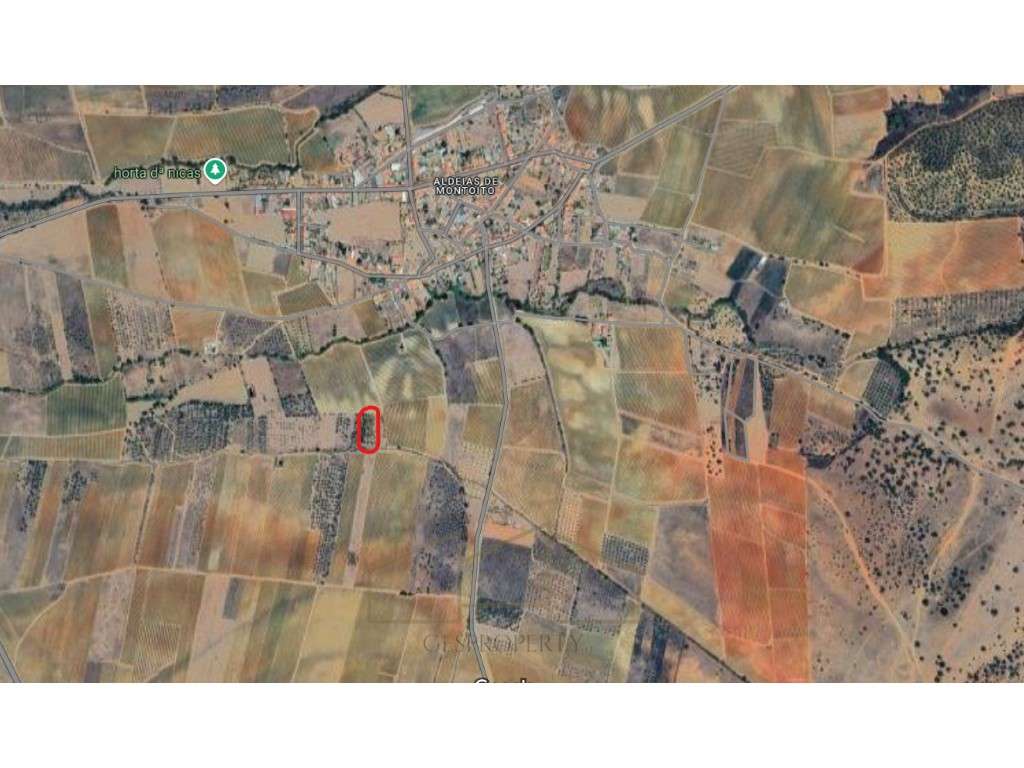 Terreno Rústico em Aldeias de Montoito - Grande imagem: 2/3